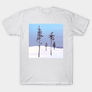 PolarNight 1 T-Shirt